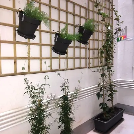 Very 100m From La Kontxa 公寓 *