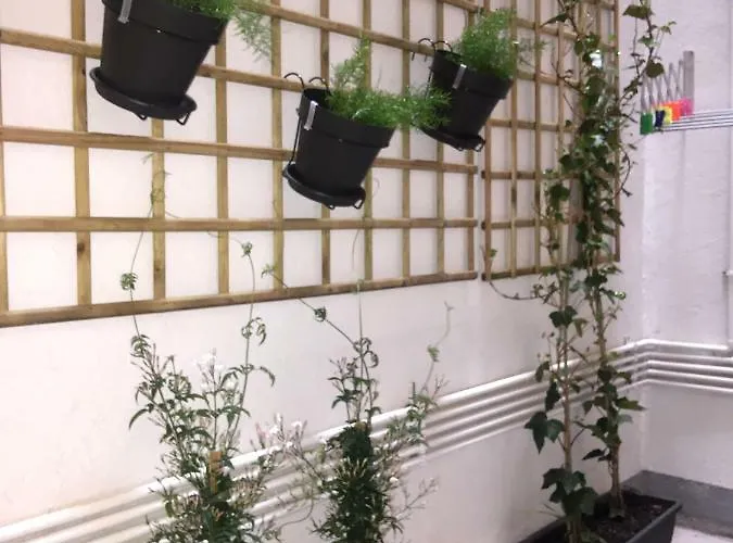 Very 100m From La Kontxa Apartman *